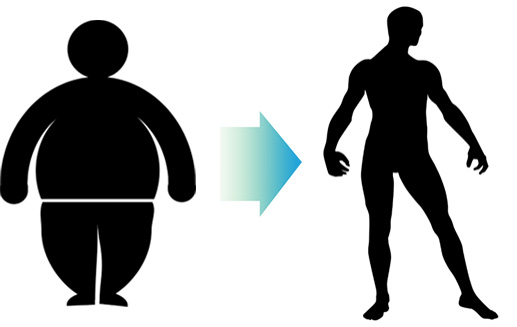 백색 지방의 갈색 지방화