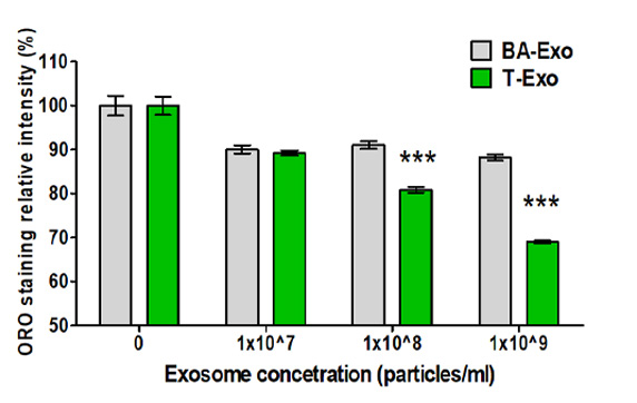 oro 염색이미지2