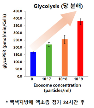 분석 지질 생성율(%) 그래프