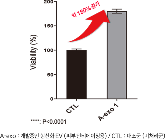 세포 증식 효과