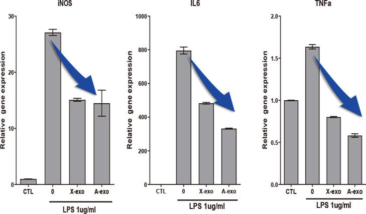 Exosome 항염증 테스트 그래프