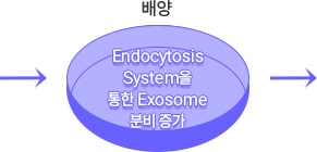 모유두세포 이미지