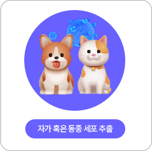 자가 혹은 동종 세포 추출